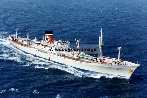 Rp01569 blue star cargo - blue,