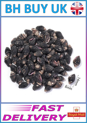 40g aquarium snail shells - 40g,