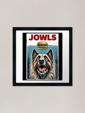 Funny Belgian Tervuren and