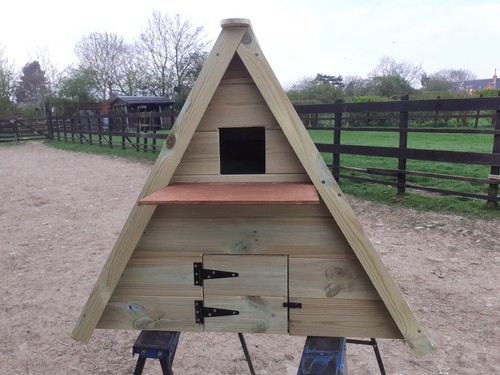 Barn owl nest - barn, box