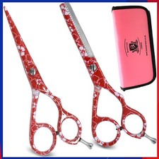 Salon professional barber hair - barber,