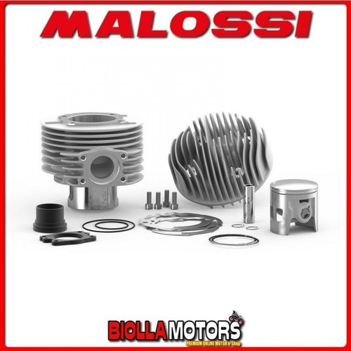 3118005 thermal group malossi - group,