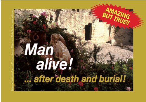 Man alive bible - man,