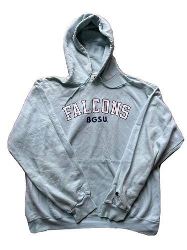 Vintage champion falcons - champion,