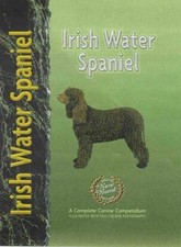 Irish Water Spaniel - Dady