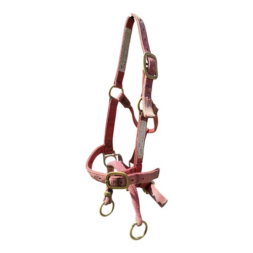 Official monty roberts dually - monty,