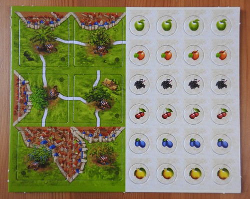 Carcassonne fruit bearing - carcassonne,