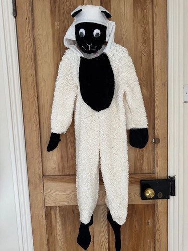 Sheep lamb fancy - fancy, costume