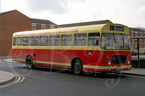 Bus photo pmt red rider - bus,