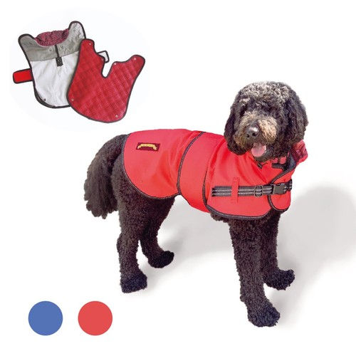 All seasons dog - , with