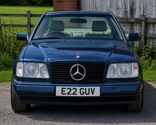 E22 guv private cherished - guv,