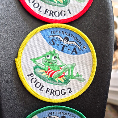 International pool frog 2 - pool,