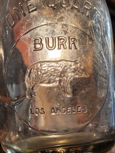 Burr milk bottle - burr, los