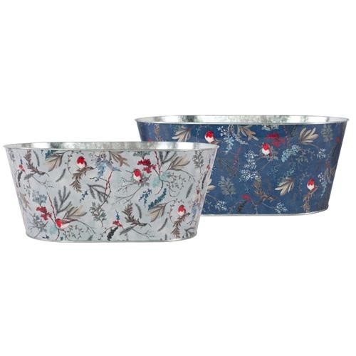 Tin pail robin - pail, trough