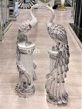 Italian White Silver Peacock