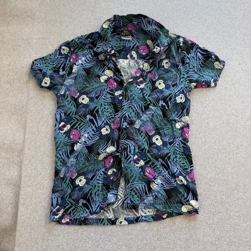 Disney mickey mouse hawaiian - mouse,