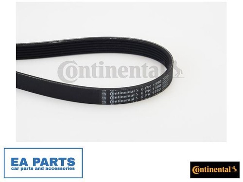 Ribbed belts for citroën - belts,