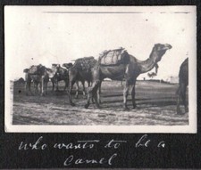 VINTAGE PHOTOGRAPH 1913 CIRCUS