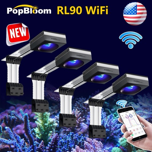 4pcs dsuny aquarium - 4pcs, full