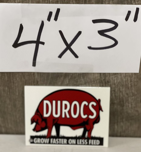 Durocs grow faster - faster, on