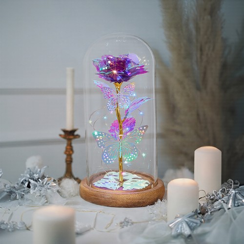 Rose glass dome - dome, forever