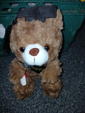 new graduation bear