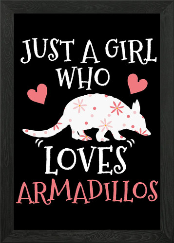 Armadillo lover - armadillo,