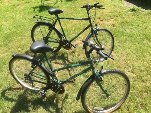 Raleigh genesis touring - genesis, /