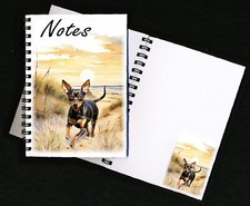 Miniature Pinscher Dog