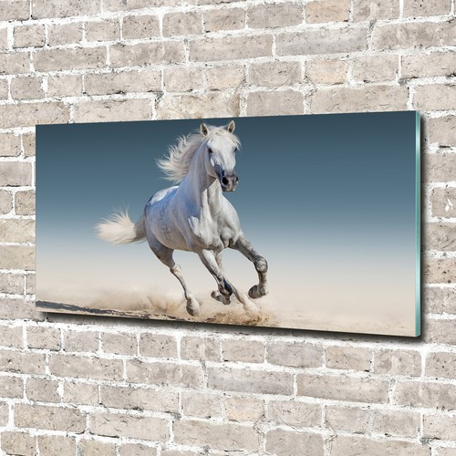 Glass picture wall art print