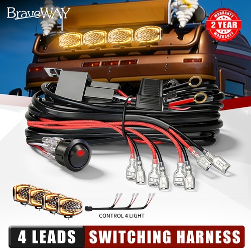 Leads wiring harness kit - wiring,