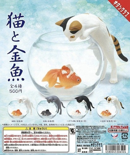 Gacha cats and - gacha:, goldfish