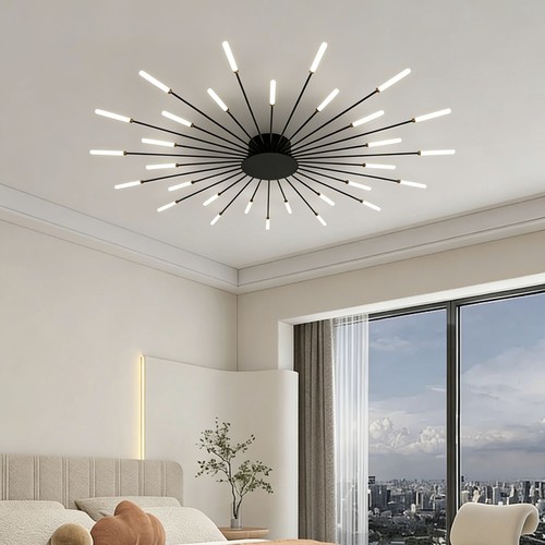 Fireworks design ceiling - design,