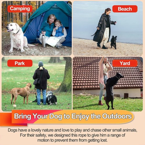 Dog tie out cable - cable,, chew