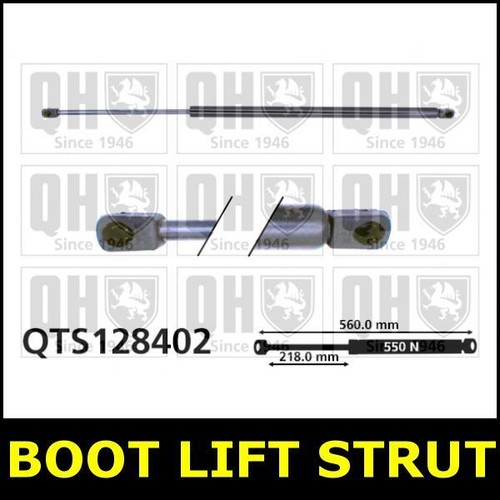 Boot gas strut tailgate - tailgate, for