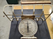 Chatillon 25 Lb Nursery Baby