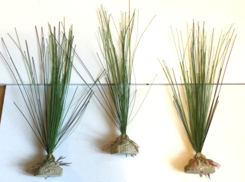 Artificial aquarium plants - artificial, x