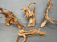 AZALEA REDMOOR ROOTS | Terrarium Supplies | Decorative Roots | Aquarium Decor