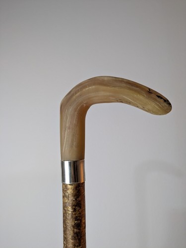 Shepherds crook rams horn - shepherds,