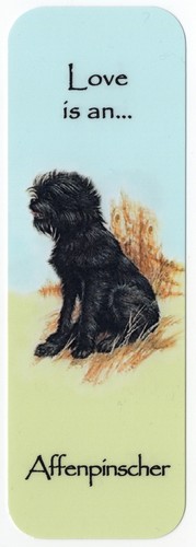 Affenpinscher dog beautiful - dog,