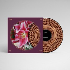 Richard Hawley - Coles Corner