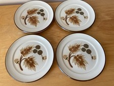 Denby Cotswold Retro 1970s