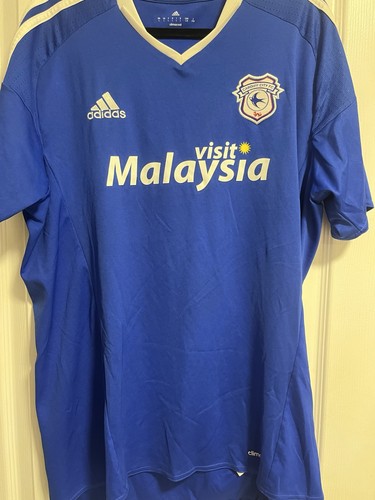 Cardiff city 2016 - city,
