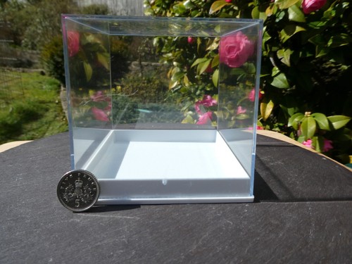 Large perspex clear - large,