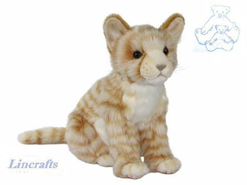 Hansa sitting ginger - hansa,