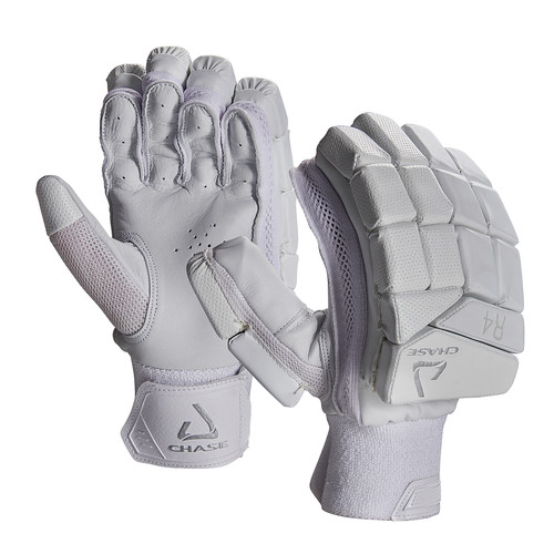 Chase cricket batting - cricket, r4