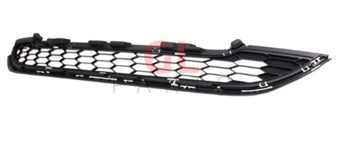 Front bumper grille - front, for