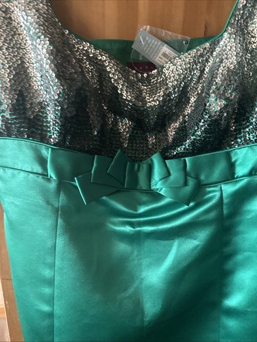 Debut debenhams women - debut,