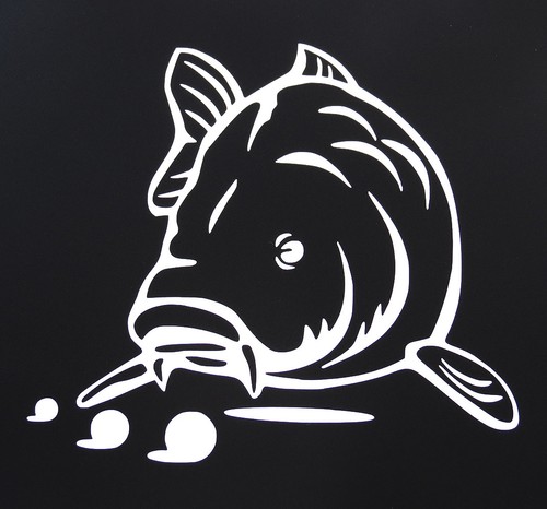 Classic feeding carp white - 'feeding,