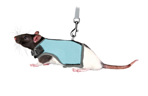 Trixie soft harness for - trixie, rats